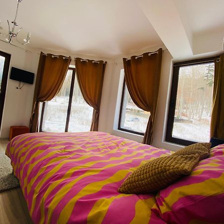 Vila Mama Jana Buşteni Exteriér fotografie