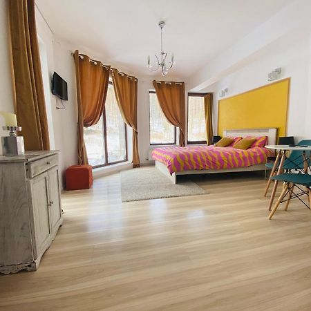 Vila Mama Jana Buşteni Exteriér fotografie