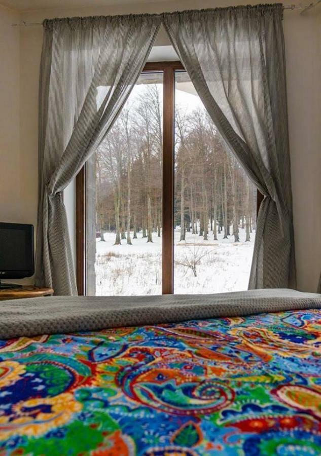 Vila Mama Jana Buşteni Exteriér fotografie