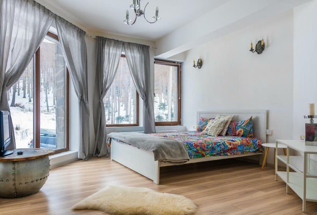 Vila Mama Jana Buşteni Exteriér fotografie