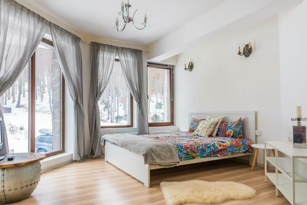 Vila Mama Jana Buşteni Exteriér fotografie